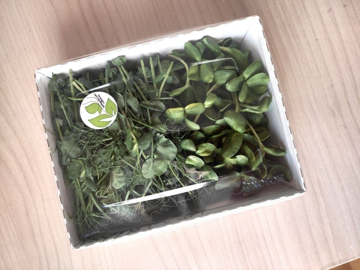 Набор микрозелени «Сладкий» фото 2